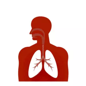 Airway Treatment Set
